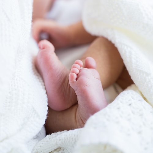 fertility-consulting