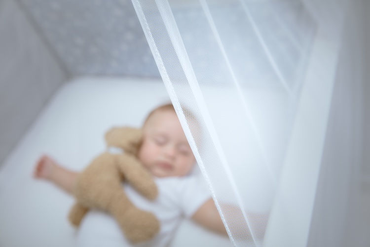 Adorable Child Sleeping With Soft Toy Adorable Child Sleeping With Soft Toy